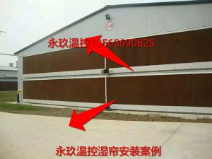 草莓APP污在线观看安装现场