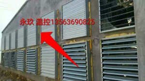 草莓视频在线免费观看安装现场
