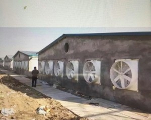 草莓视频在线免费观看安装现场