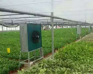 草莓视频在线免费观看安装现场