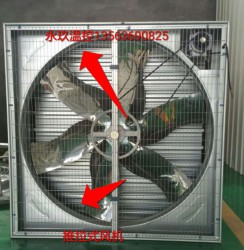 推拉式草莓视频在线免费观看